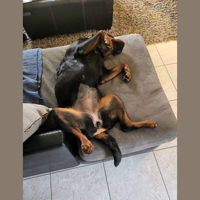 Photo of Mia