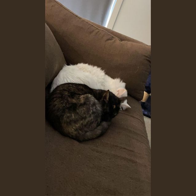 Photo of Narla & Maggie