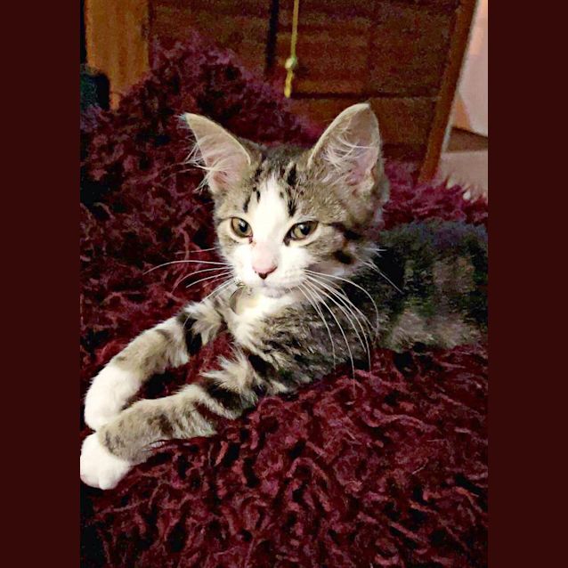 Photo of Ella 