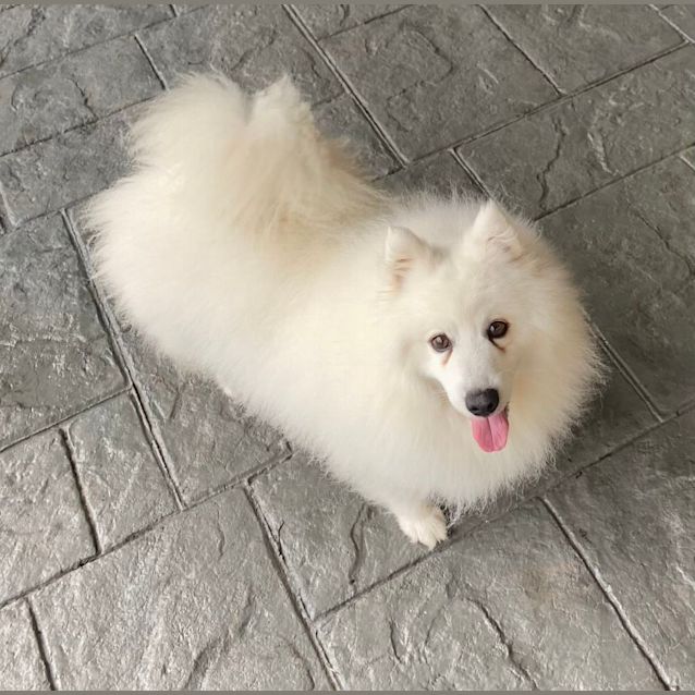 Photo of Lexi & Casper