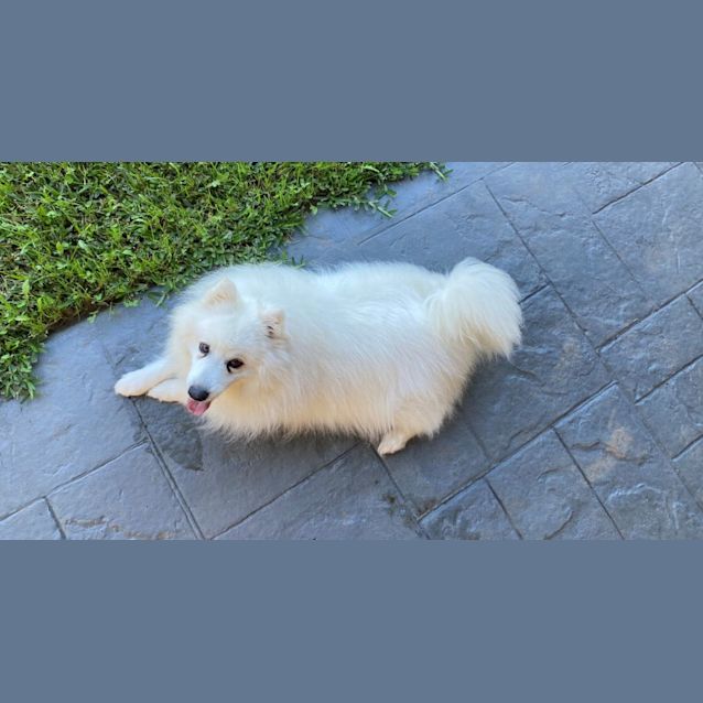 Photo of Lexi & Casper