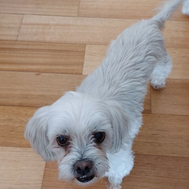 Photo of Minty