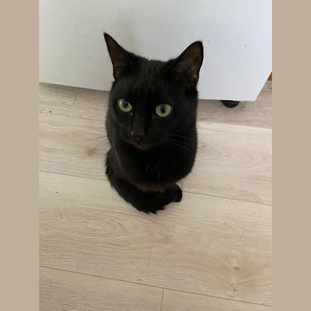 Photo of Salem