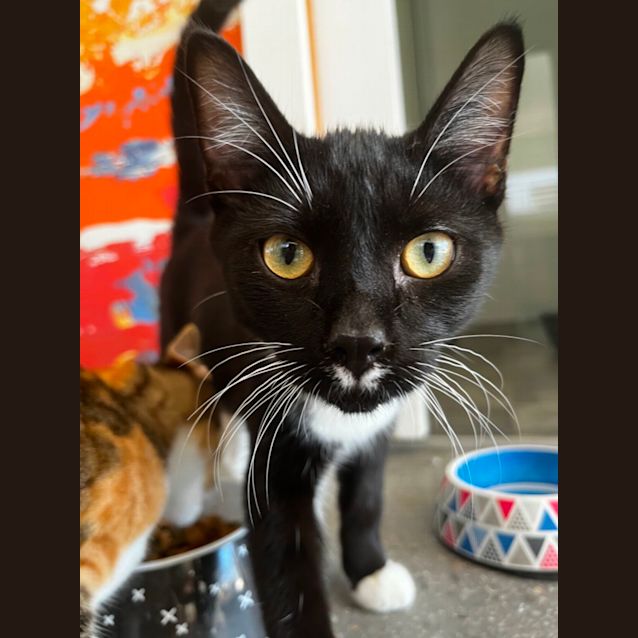 Photo of Gus