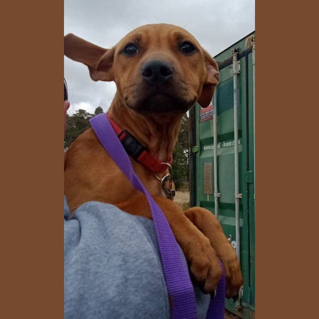 Photo of Winnie