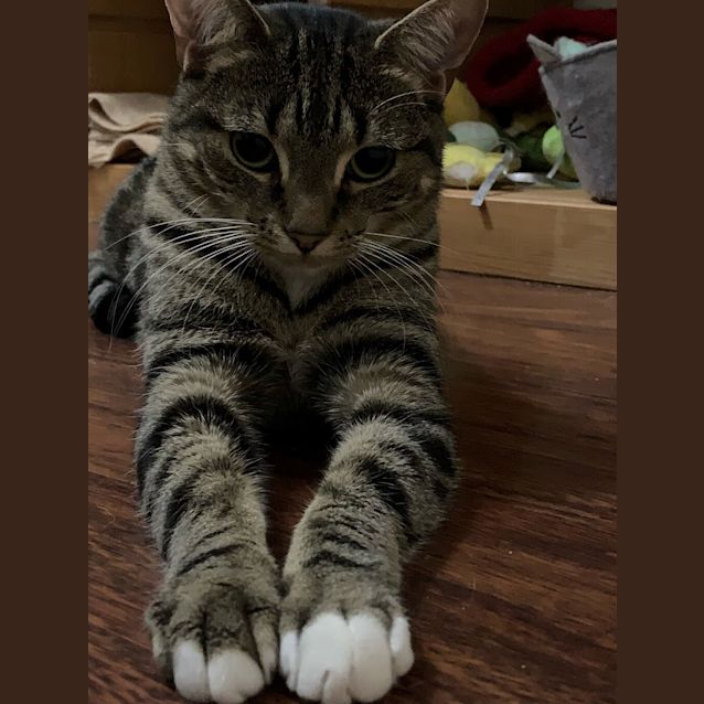 Photo of Holly