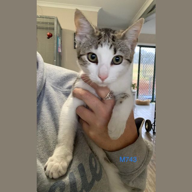 Photo of Casper