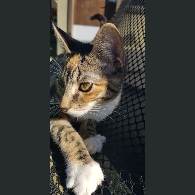 Photo of Connie