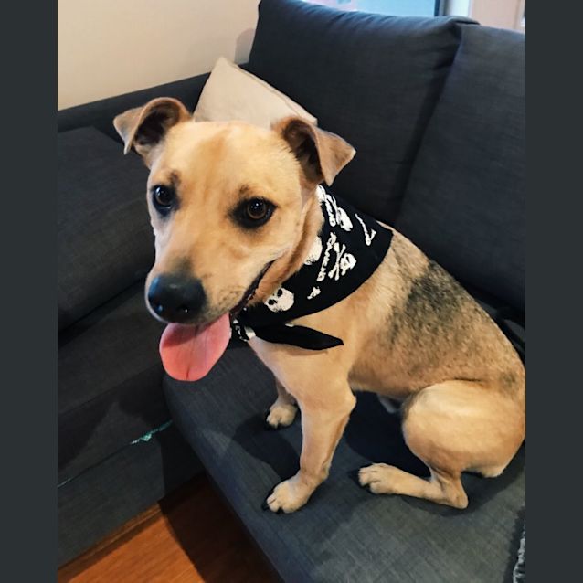 Photo of Brew