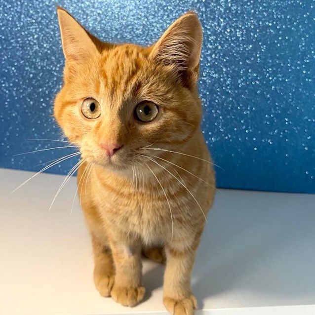 Photo of Quill   Located In Preston