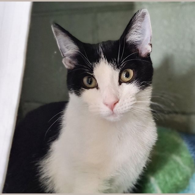 Photo of Penny