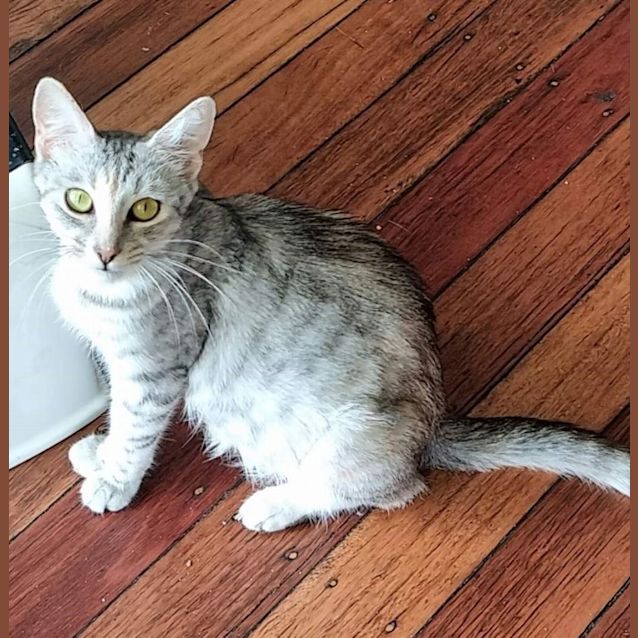 Photo of Olivia