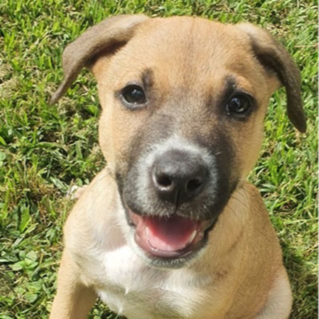 Photo of Mac