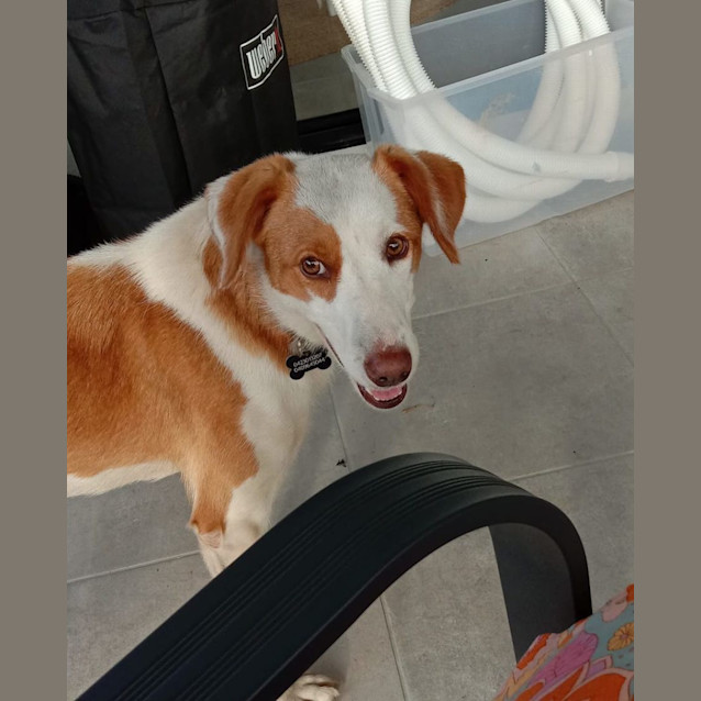 Photo of Meg