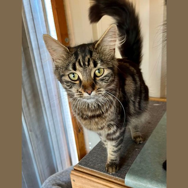 Photo of Mojito