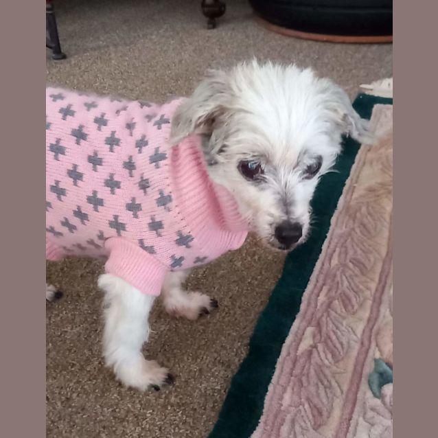 Photo of Akka And Nadia