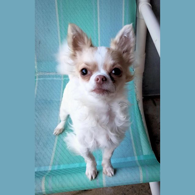 Photo of Pocket