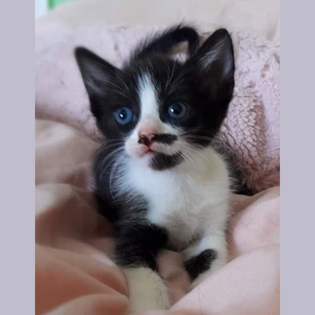 Photo of Marilyn Monroe