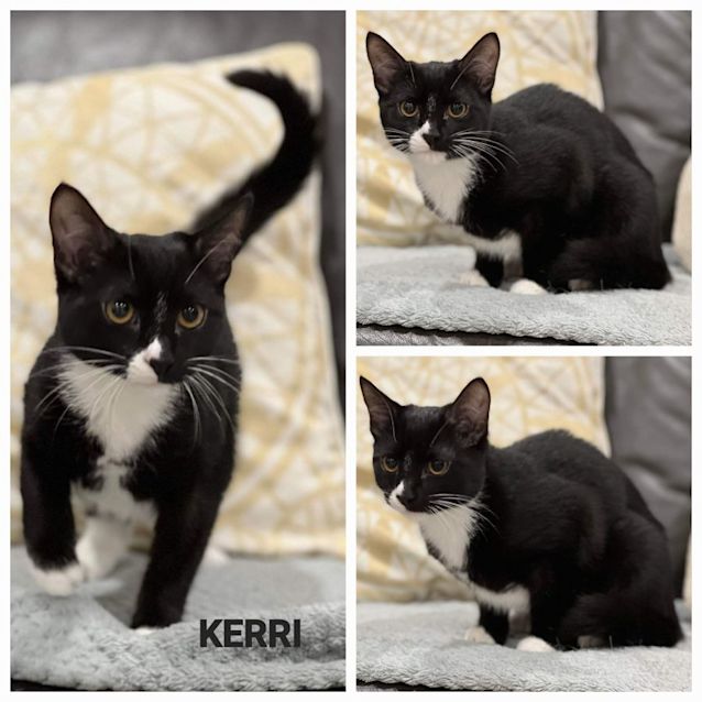 Photo of Kerri