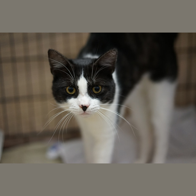 Photo of Fonzie
