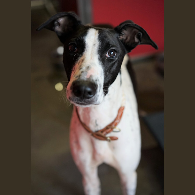 Photo of Freda