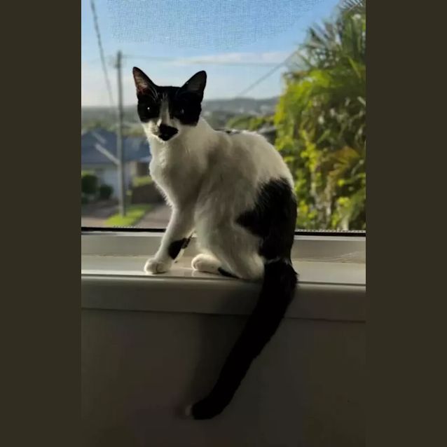 Photo of Alice