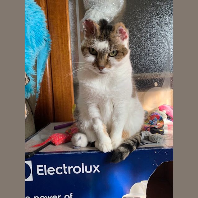 Photo of Missy   Located In Preston