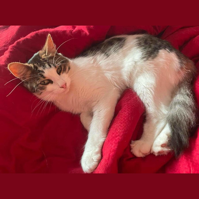 Photo of Lottie And Tilly 🌸🌻