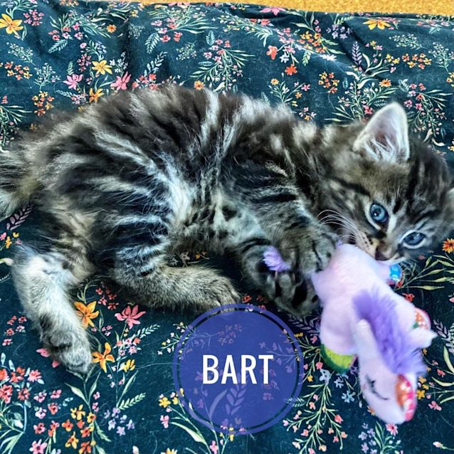 Photo of Bart And Liza