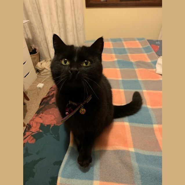 Photo of Luna