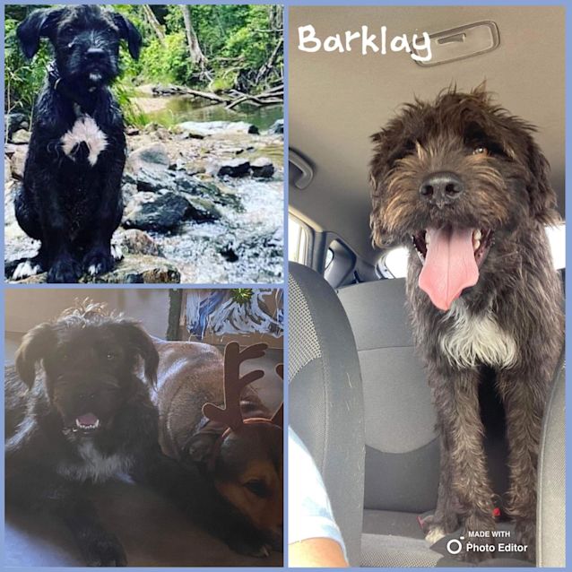 Photo of Barklay