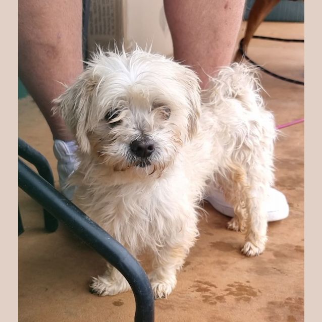 Photo of Ted