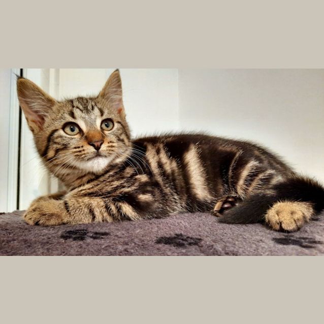 Photo of C1056 Cloud