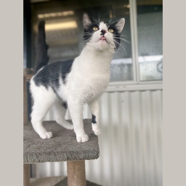 Photo of Elroy