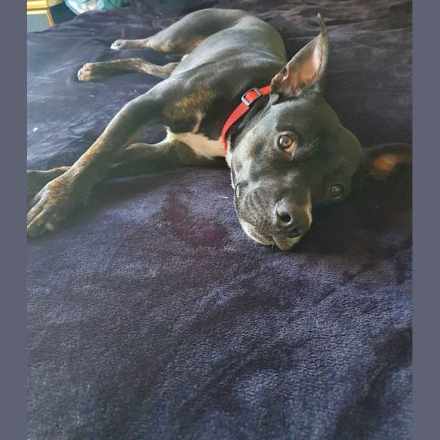 Photo of Haru