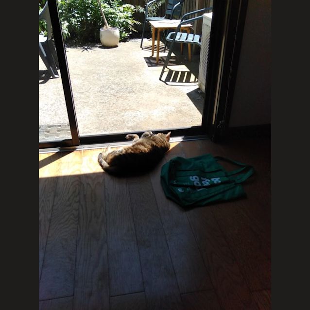 Photo of Mia (Meezi)