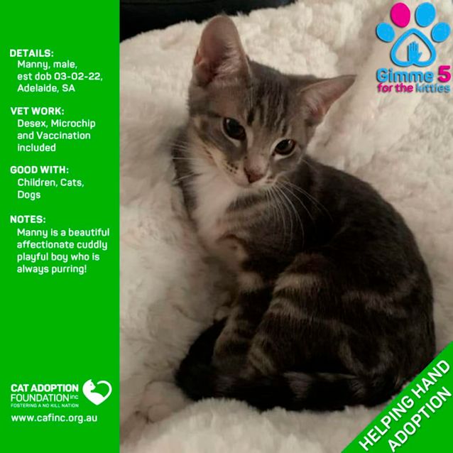 Photo of Manny