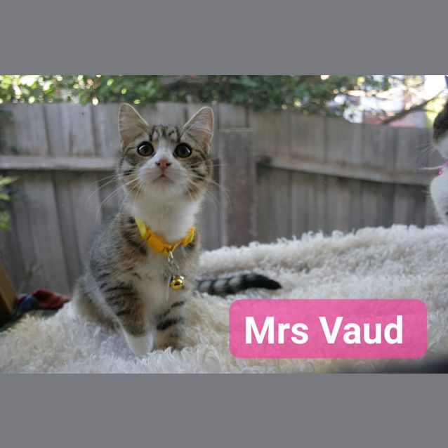Photo of Mrs Vaud   Petstock
