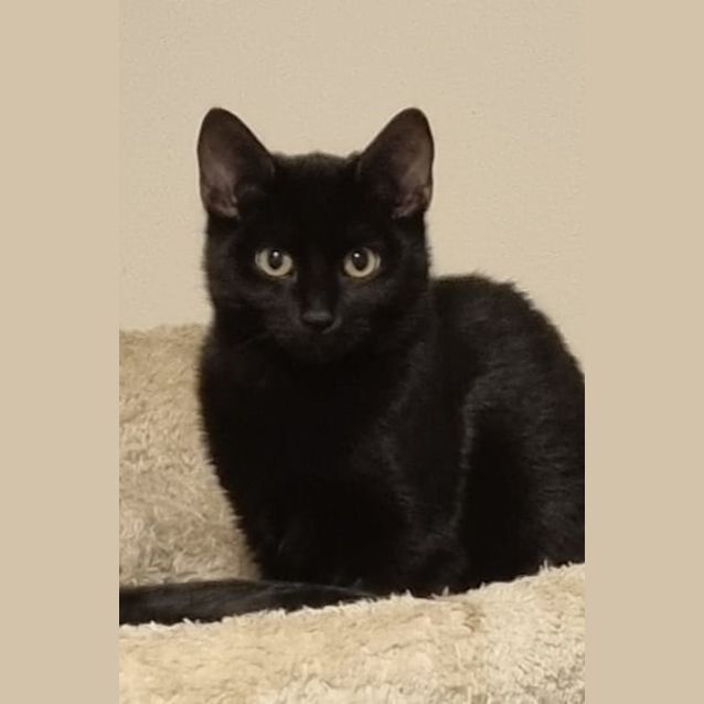 Photo of Clyde