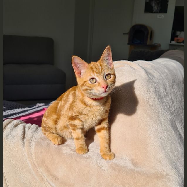 Photo of Marvin Marvel