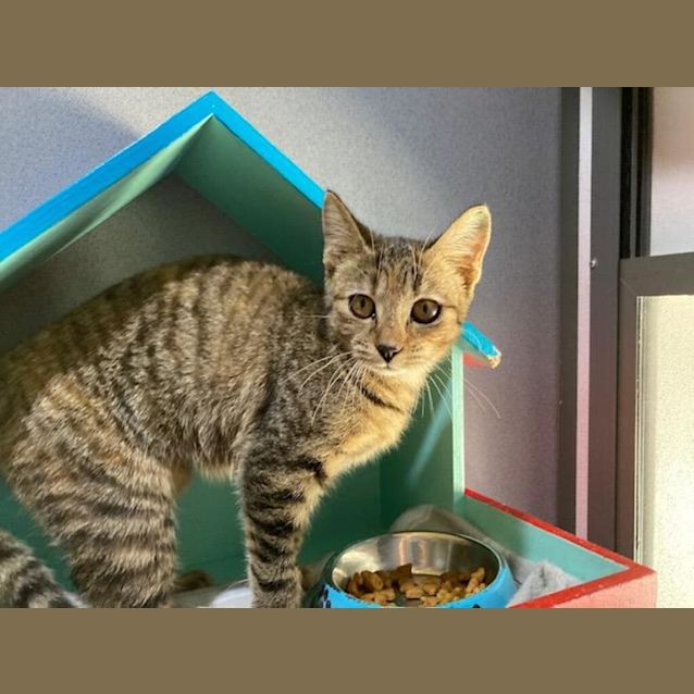 Photo of Tabitha