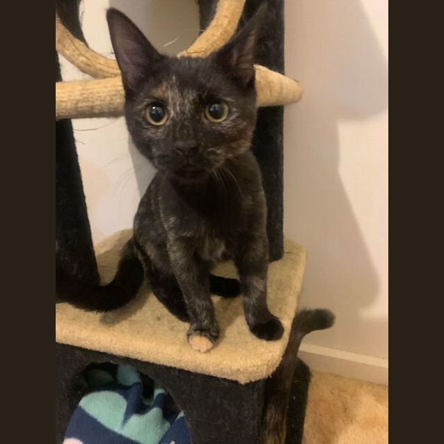 Photo of Pru (And Sinead)