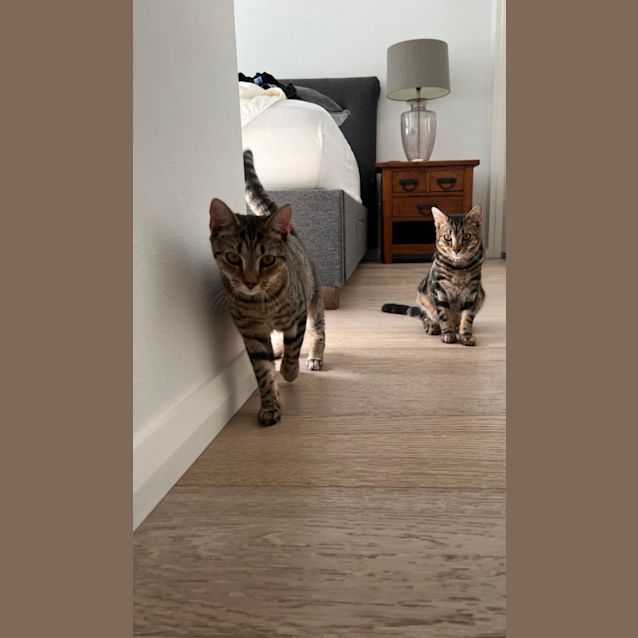 Photo of Pepper And Thomas 