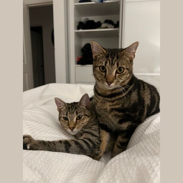 Photo of Pepper And Thomas 