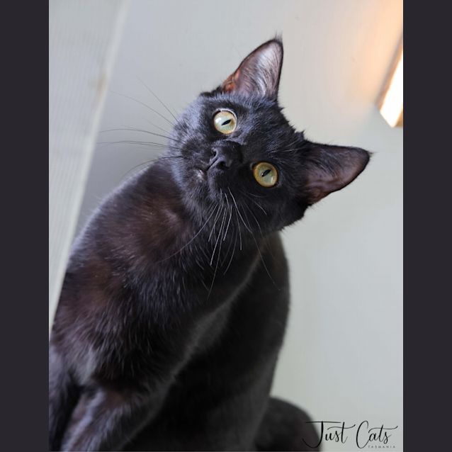 Photo of Lyla