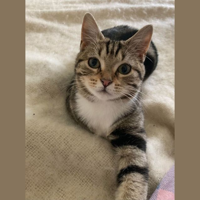 Photo of Henning   Located In Ivanhoe