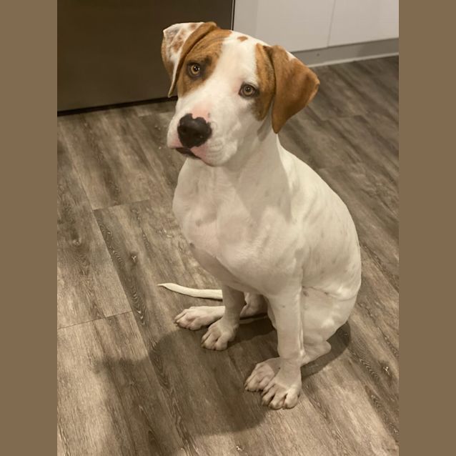 Photo of Bruce