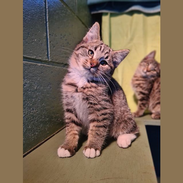 Photo of Elroy
