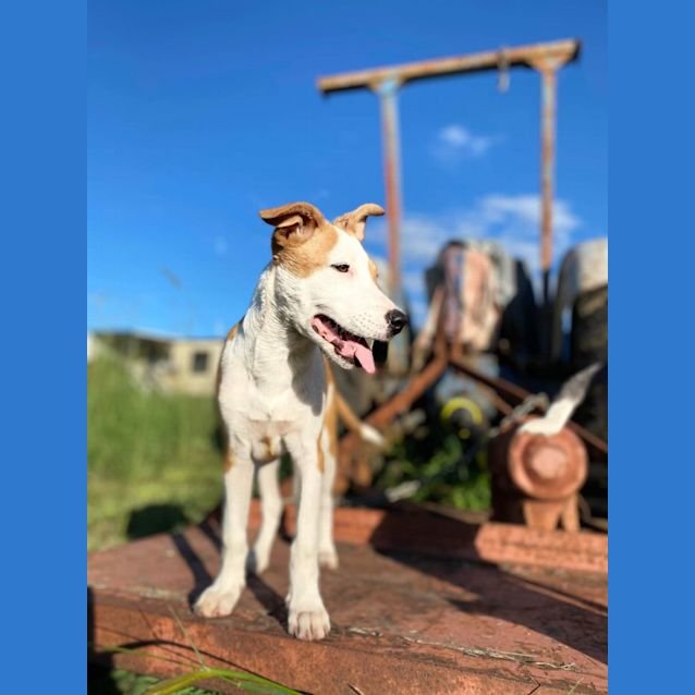 Photo of Matilda