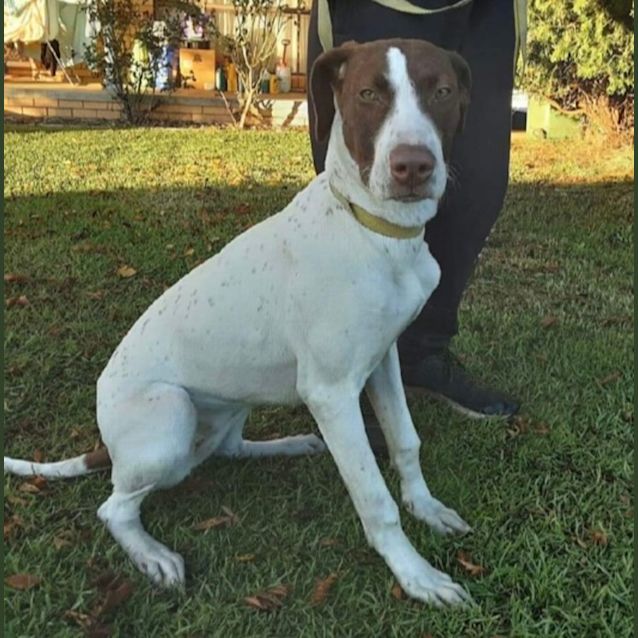 Photo of Lori 